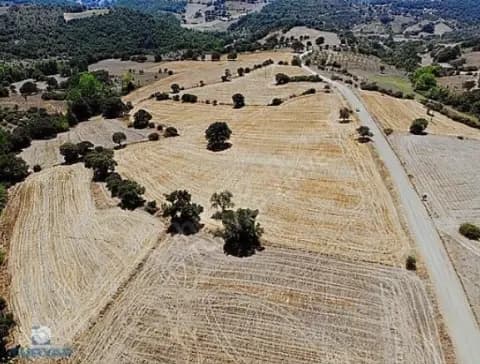 ÇANAKKALE BİGA GÜRÇEŞME KÖYÜNDE 19.750 M2 SATILIK TARLA