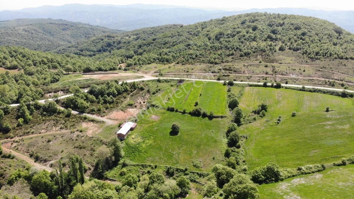 ÇANAKKALE BİGA DİKMENDE İÇİNDE BESİ DAMI OLAN 4.500m2 TARLA
